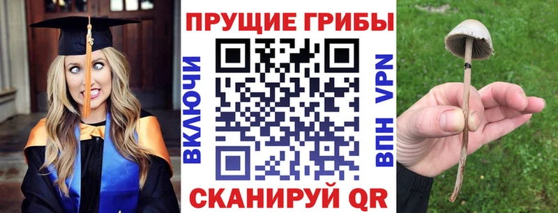 Псилоцибиновые грибы Psilocybine cubensis  KRAKEN ссылки  Островной 